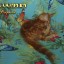 Котёнок мейн кун красный солид - Добрыня 12