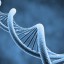 Синтетическая ДНК становится реальностью