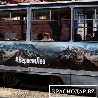 ​ В Краснодаре вышел на маршрут "экологический"  трамвай