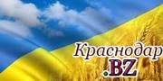 Украинские школы перейдут на европейский формат обучения