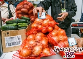 Губернатор Кубани: Аграриям нужно гарантировать продажу урожая