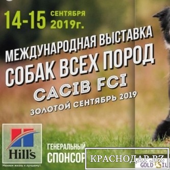 Международные выставки собак всех пород в Краснодаре 14 и 15 сентября