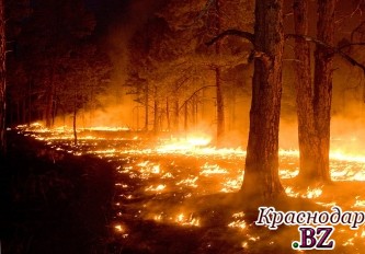 Приостановлено до утра тушение пожара в Верхне-Баксанском лесничестве  Кабардино-Балкарии