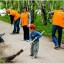 Общегородской субботник