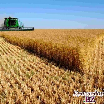 Для экспортеров пшеницы отменили пошлину