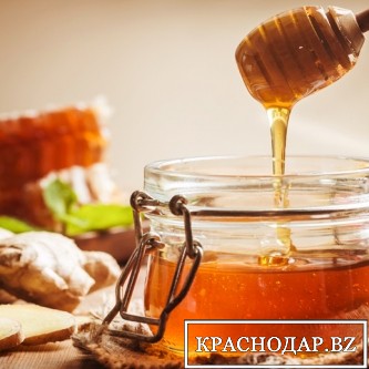 Россельхозбанк: Краснодарский край – в лидерах по производству мёда