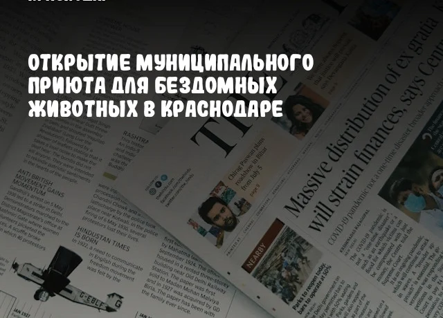 Открытие муниципального приюта для бездомных животных в Краснодаре
