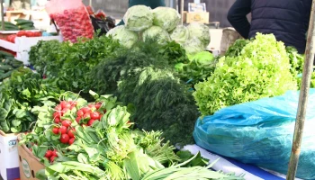 Ярмарки выходного дня в Краснодаре 14 марта 2025 года: адреса, время, ассортимент