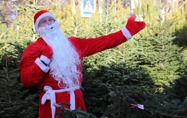 В Краснодаре откроют ёлочные базары и ярмарки