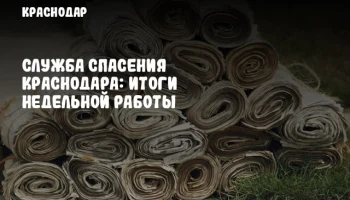 Служба спасения Краснодара: Итоги недельной работы