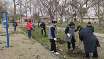 Краснодарцы массово участвуют в субботниках: уборка, покраска и посадка деревьев Краснодарцы массово участвуют в субботниках: уборка, покраска и посадка деревьев