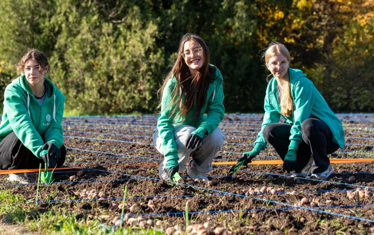 Краснодарский Ботанический сад заполнится тюльпанами благодаря студентам и компании «Магнит»