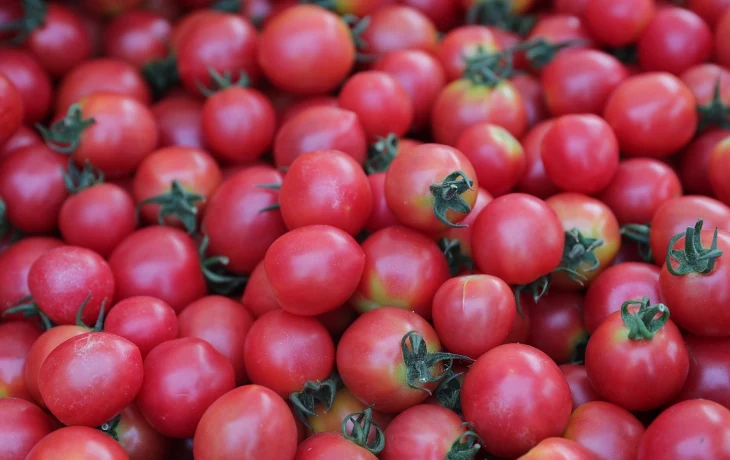 Ярмарки выходного дня возвращаются в Краснодар 4 апреля