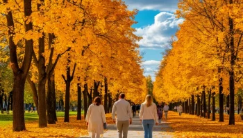 Резкая смена погоды в Ростове: от бабьего лета к холодам