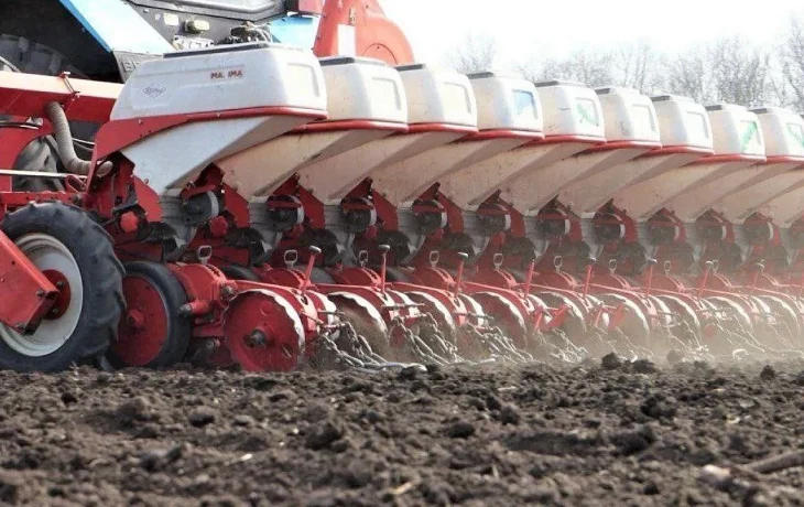 В Краснодаре успешно завершили сев озимых культур