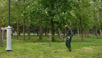 В Краснодаре скосили сорную растительность на площади более 3480 гектаров