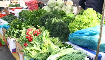 Ярмарки выходного дня в Краснодаре: где купить свежие фрукты и овощи 23 мая