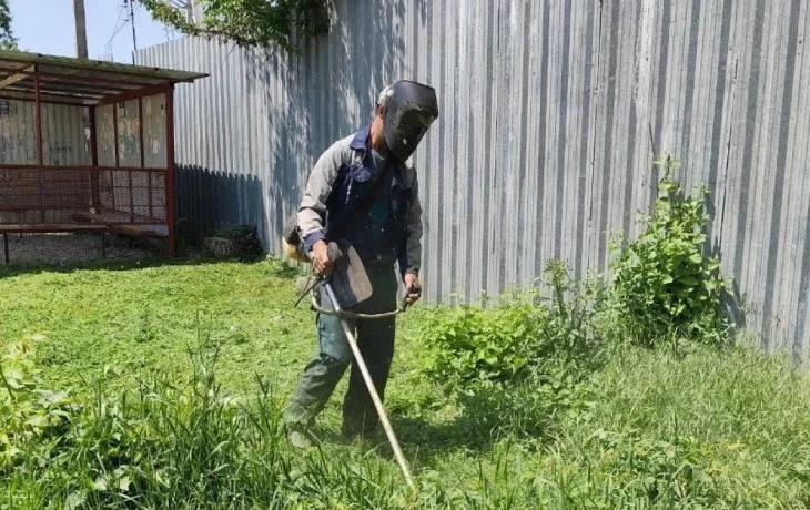 В Краснодаре усиливают покос сорной травы: горожане могут сообщить о проблемных участках через чат-бот