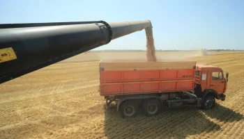 Рекордный урожай в Краснодаре в 2025 году: АПК демонстрирует устойчивый рост