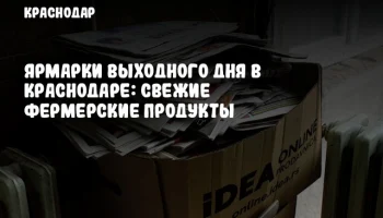 Ярмарки выходного дня в Краснодаре: свежие фермерские продукты