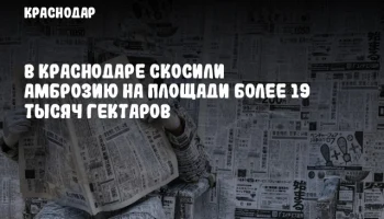 В Краснодаре скосили амброзию на площади более 19 тысяч гектаров