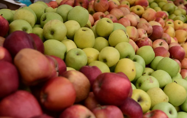 Новогодние ярмарки в Краснодаре: где купить свежие продукты