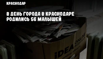 В День города в Краснодаре родились 56 малышей
