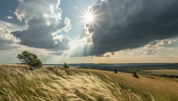 Жаркая и сухая погода в Краснодарском крае 17 августа 2025 года