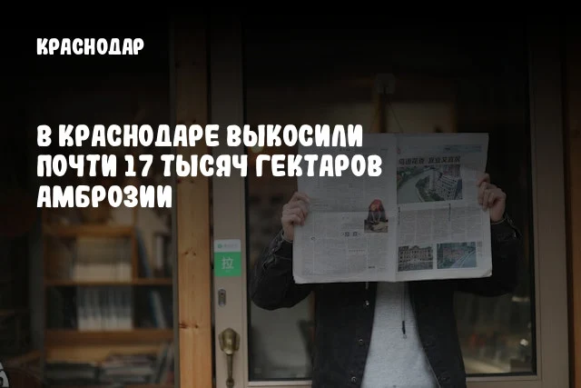 В Краснодаре выкосили почти 17 тысяч гектаров амброзии