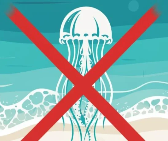 Инновационное решение проблемы медуз: ученые разработали защитные сети для Азовского и Черного морей