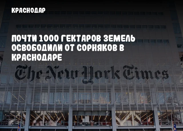 Почти 1000 гектаров земель освободили от сорняков в Краснодаре