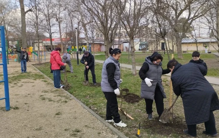Краснодарцы массово участвуют в субботниках: уборка, покраска и посадка деревьев