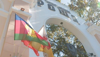 Празднование Дня отца в парках Краснодара: афиша мероприятий