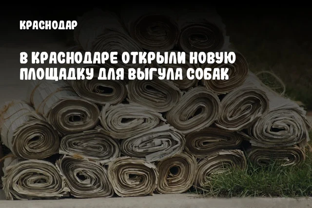 В Краснодаре открыли новую площадку для выгула собак