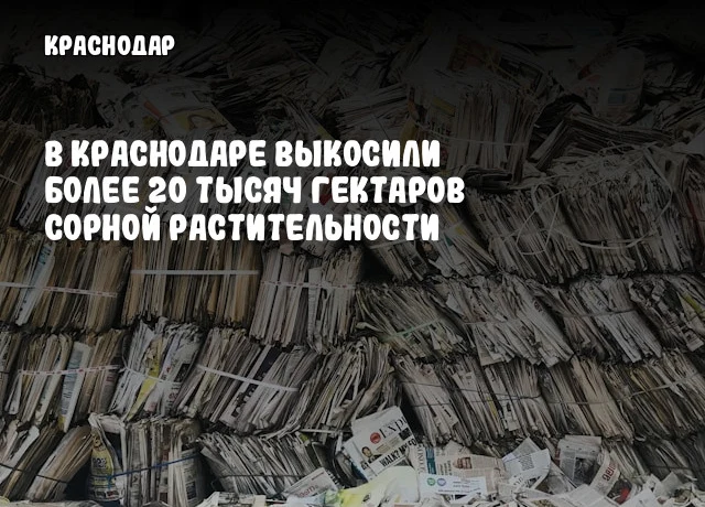 В Краснодаре выкосили более 20 тысяч гектаров сорной растительности