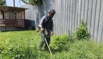 В Краснодаре усиливают покос сорной травы: горожане могут сообщить о проблемных участках через чат-бот В Краснодаре усиливают покос сорной травы: горожане могут сообщить о проблемных участках через чат-бот