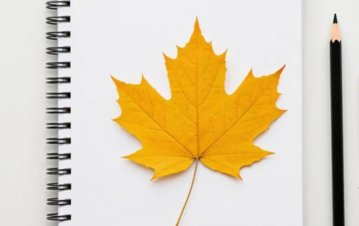 Новые правила учебного процесса в школах России