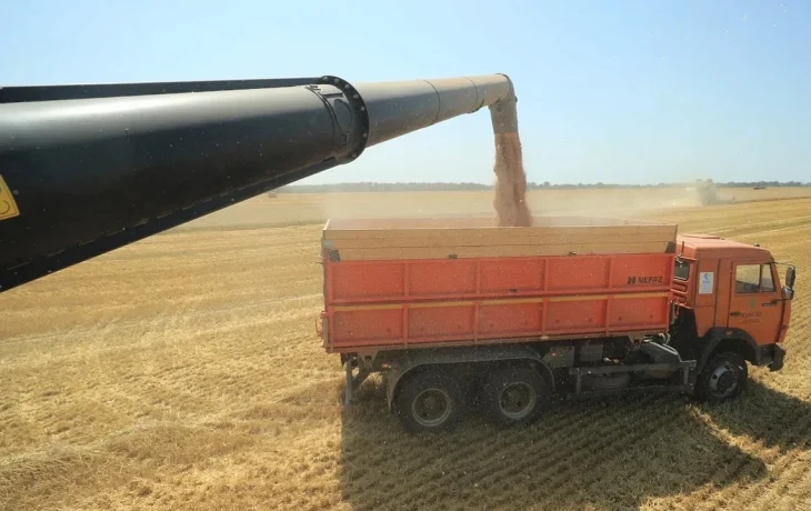 Рекордный урожай в Краснодаре в 2025 году: АПК демонстрирует устойчивый рост