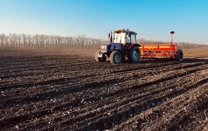 В Краснодаре засеяно 495 га ранних яровых культур