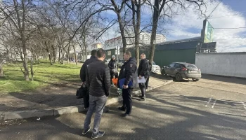 В Краснодаре началась акция &laquo;Первоцветы&raquo; против незаконной торговли редких цветов