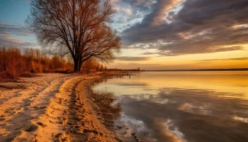 Критически низкий уровень воды в Краснодарском водохранилище: последствия и прогнозы