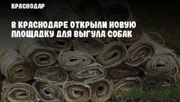В Краснодаре открыли новую площадку для выгула собак