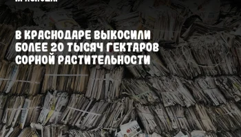 В Краснодаре выкосили более 20 тысяч гектаров сорной растительности