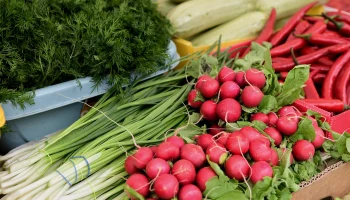 Ярмарки фермеров в Краснодаре 14 февраля: свежие овощи, зелень и сладости