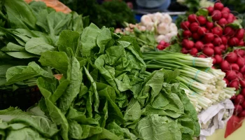 Свежие продукты с местных фермерских хозяйств: 7 ярмарок в Краснодаре 28 февраля