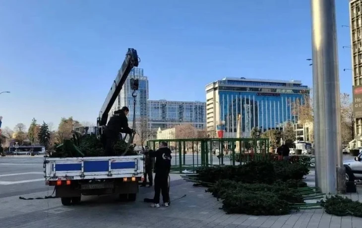 В Краснодаре установили главную новогоднюю ёлку В Краснодаре установили главную новогоднюю ёлку