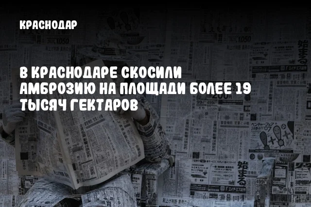 В Краснодаре скосили амброзию на площади более 19 тысяч гектаров
