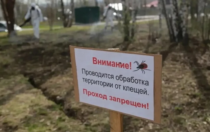 В Краснодаре усилили борьбу с насекомыми-переносчиками инфекций
