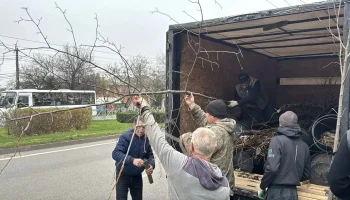 Краснодар становится зеленее: высажены тысячи деревьев и кустарников