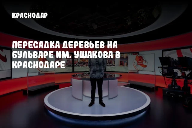 Пересадка деревьев на бульваре им. Ушакова в Краснодаре